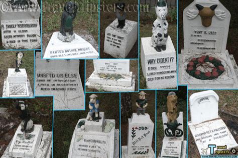 cemetery of negativism|CEMETERY OF NEGATIVISM: a humorous cemetery for .
